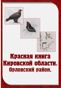 Рисунок1